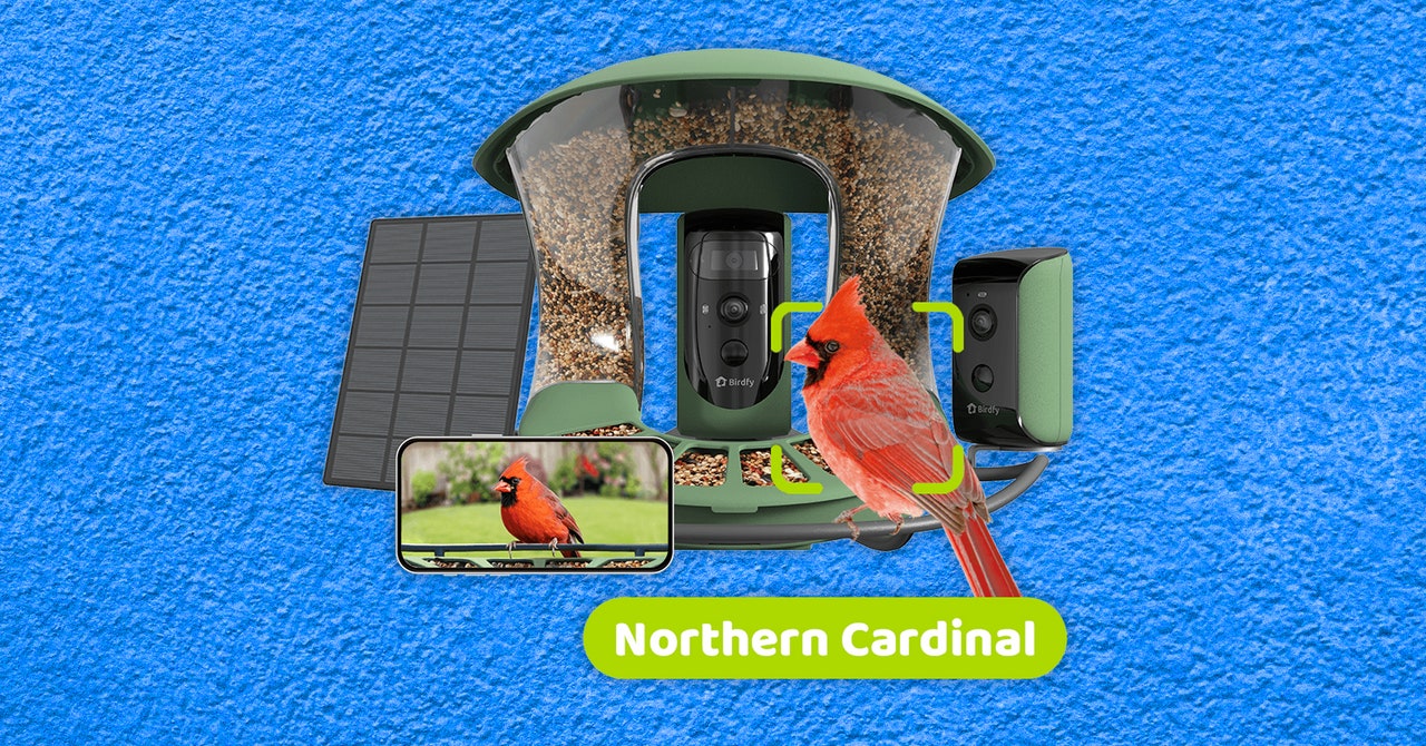 Best Bird Feeders With Built-in Cameras: Expert Reviews For 2024