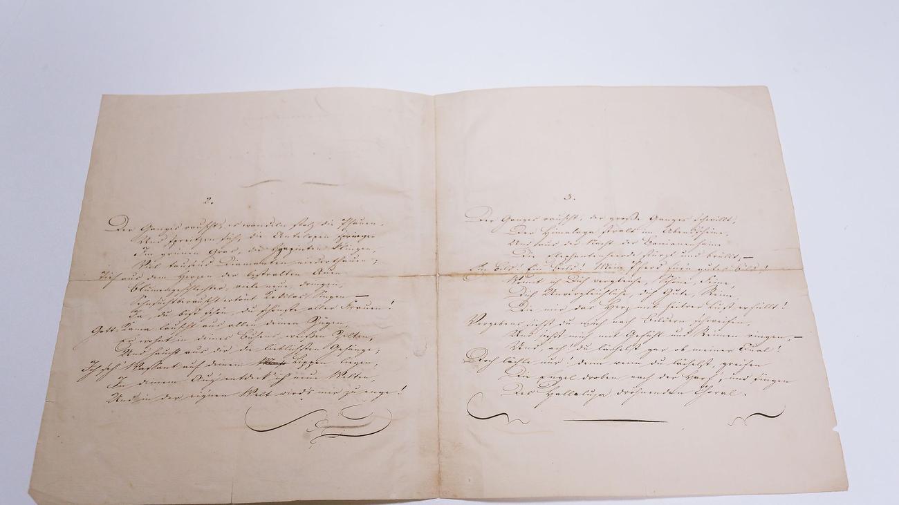 Skandal Um Heinrich Heine-Archiv:  Entlassung Des Archivars Wegen Fund Im Aufzugsraum